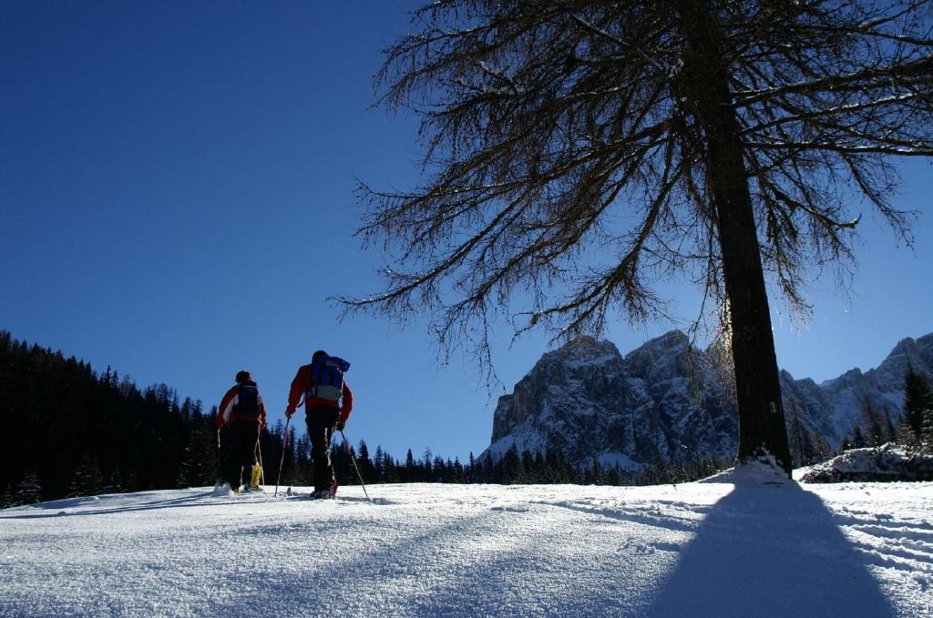 Monti Pallidi B&B Apartments Corvara In Badia Luaran gambar